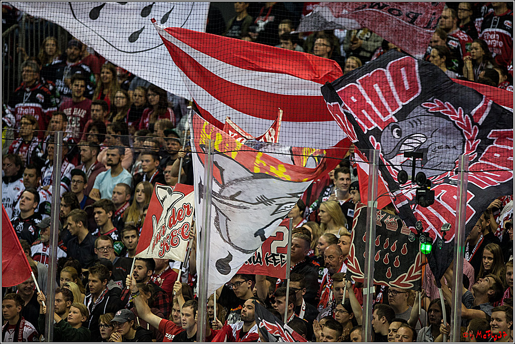 Koelner Haie - Krefeld Pinguine , 23.09.16(KW38)